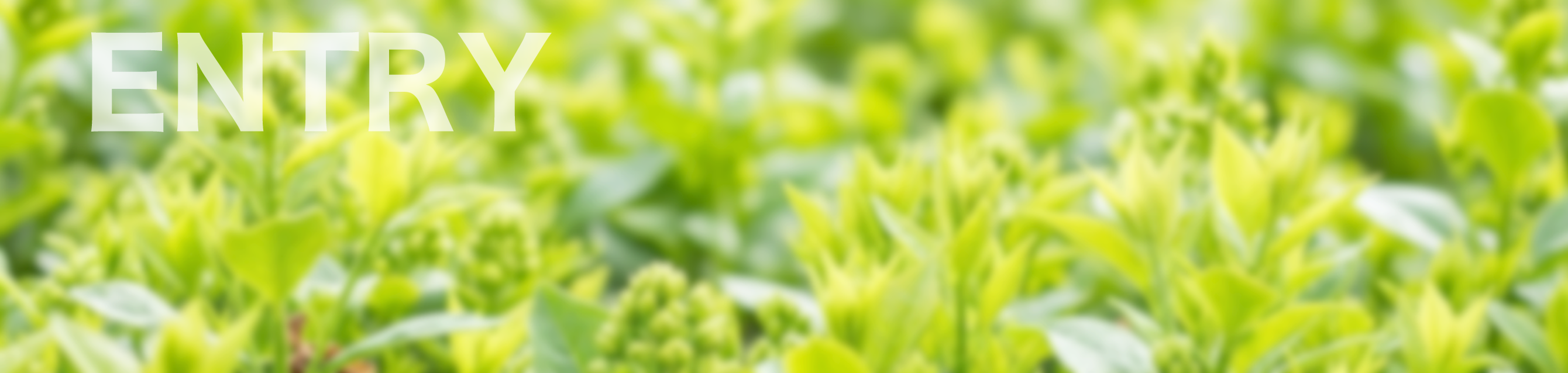 札幌の介護士求人・ヘルパー求人はこちら